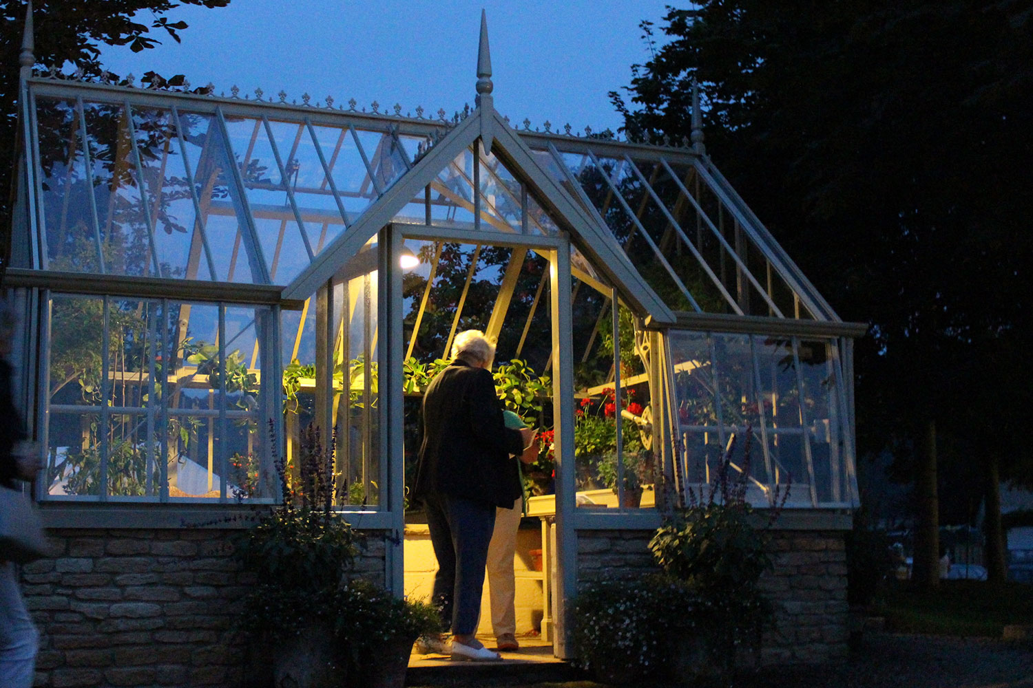 Greenhouse lights in use (Alitex greenhouse accessories)