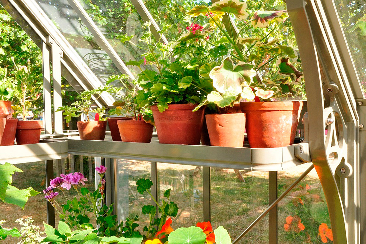 Strawberry board eaves (Alitex greenhouse accessories)